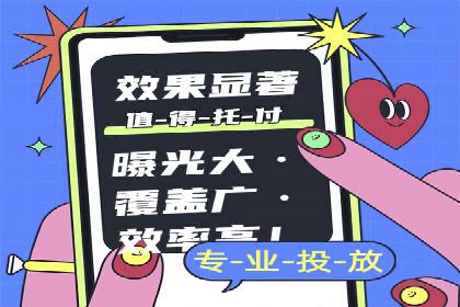 案例分析：高效信息流广告投放策略